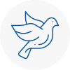 Bird Prevention Becceles
