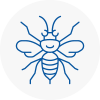Becceles Hornet Nest Removals