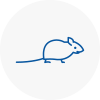 Mice Exterminators In Becceles