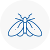 Moth Control Specialists In Becceles