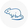 Rat Control Becceles