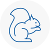 Becceles Rodent Removals